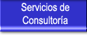 Consulting Services