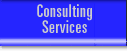 Consulting Services